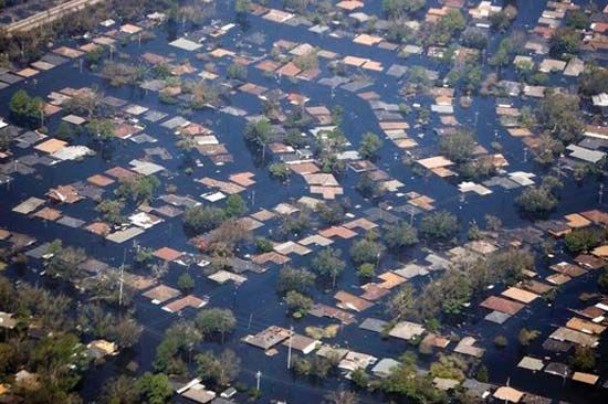 What do you think is the most important basic survival need in a time of crisis?