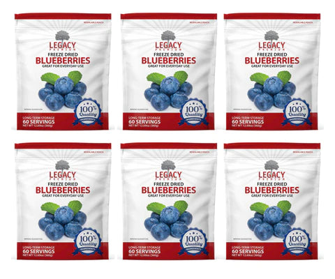 Freeze Dried Blueberries - 6 Pack